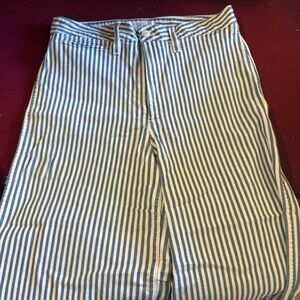 Blue and White Striped Madewell Pants